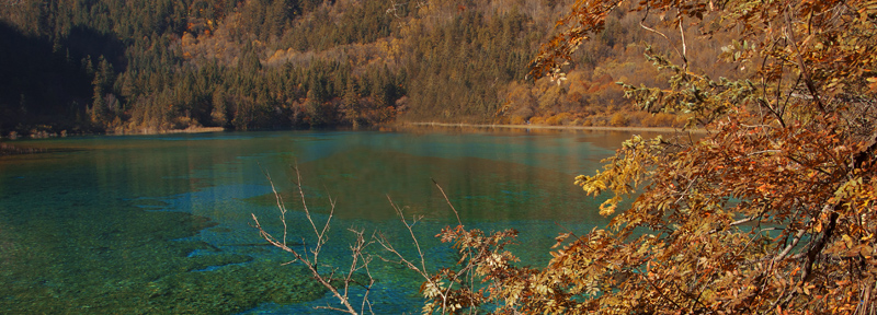 0285С.jpg