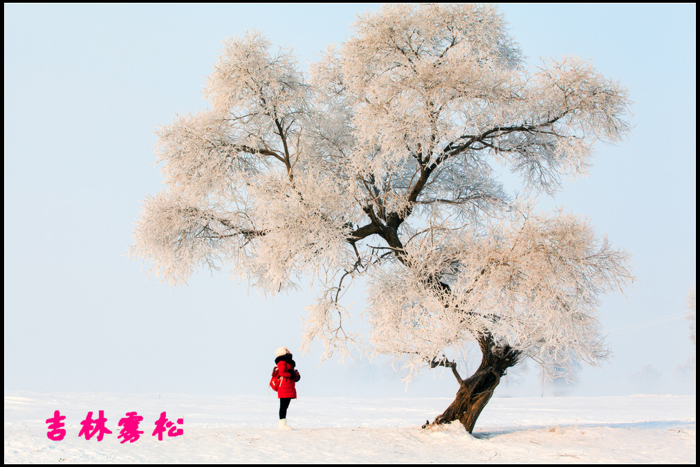 _MG_8126.jpg