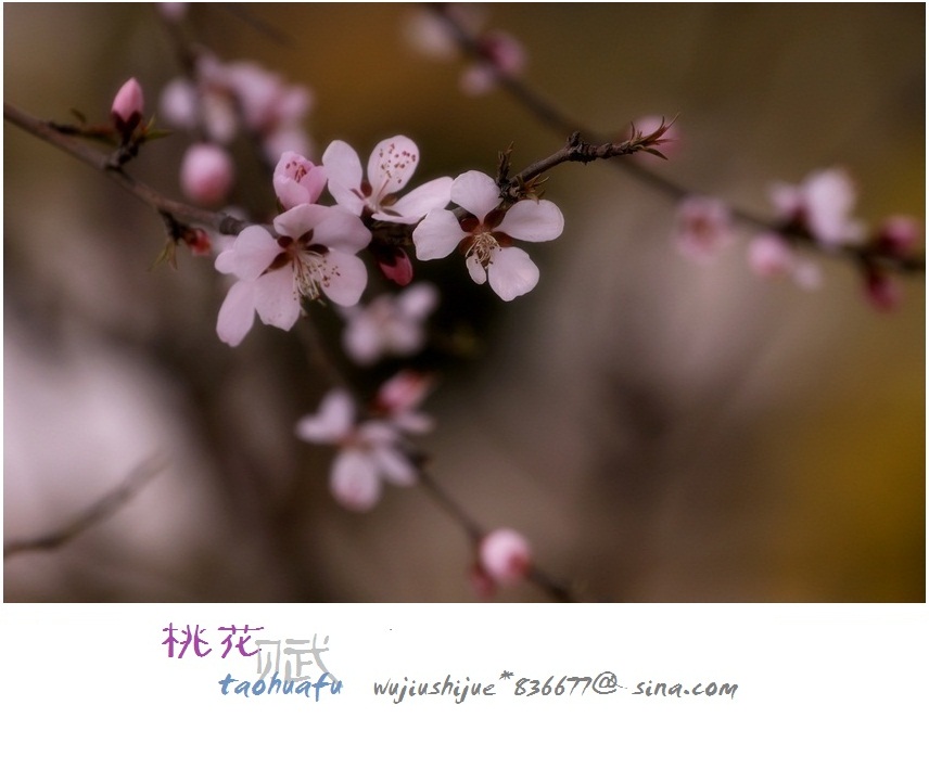 IMG_3200bb.jpg