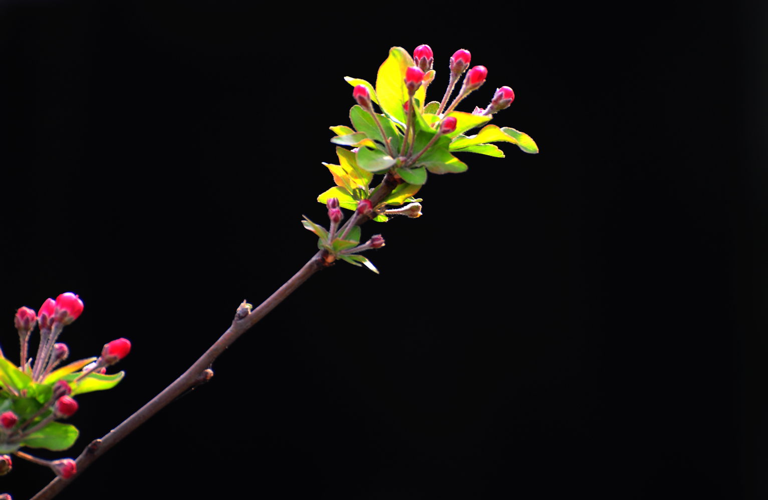 DSC_1091_.jpg