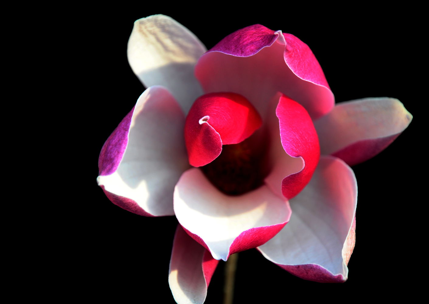 DSC_1075_.jpg
