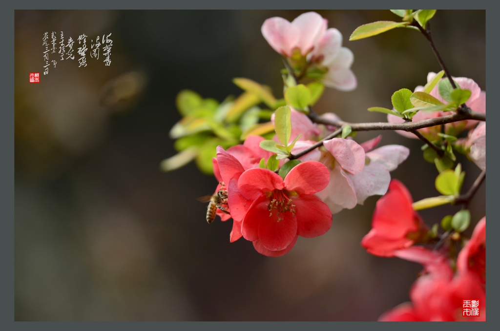 _DSC6655(⣩1024.jpg