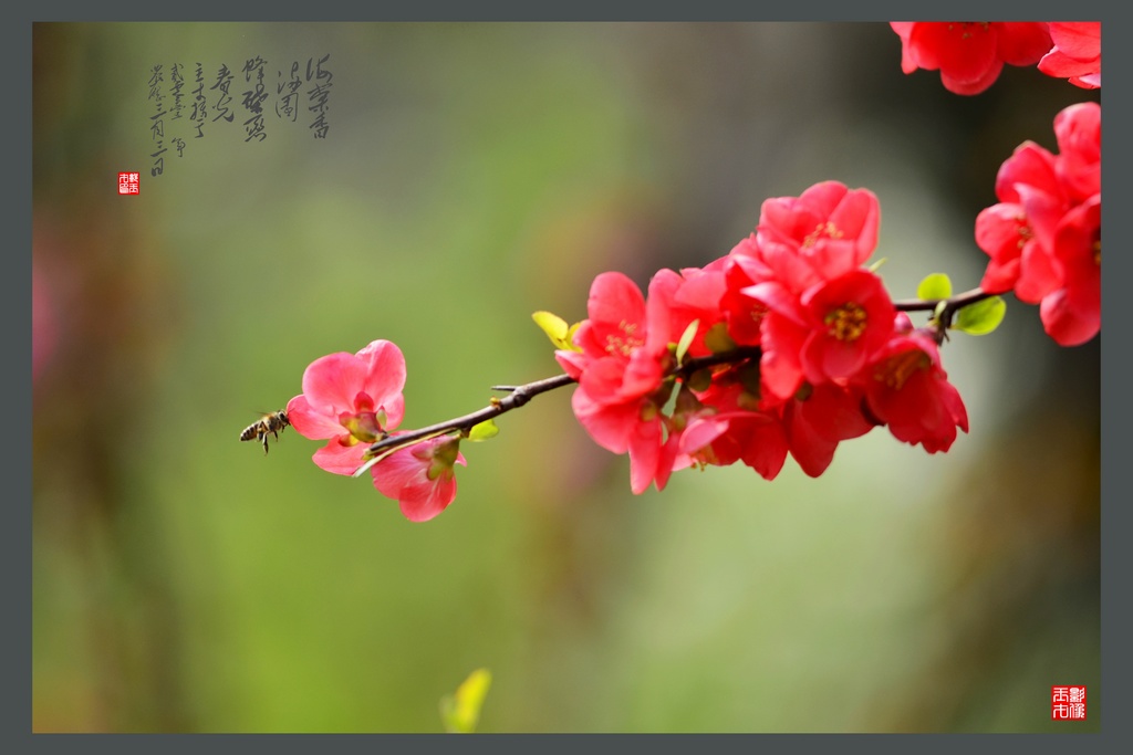 _DSC6860(⣩1024.jpg