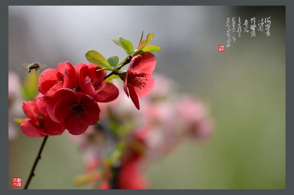_DSC6955(⣩1024.jpg