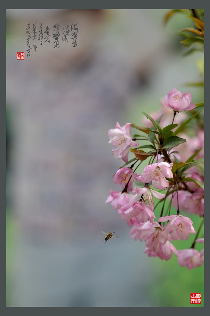 _DSC7034(⣩1024.jpg