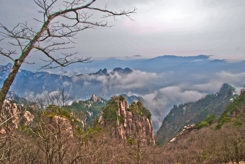 DSC_0220.jpg