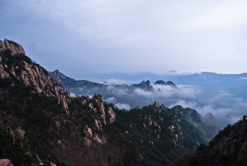 DSC_0252.jpg