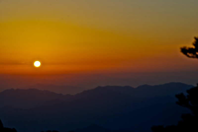 DSC_0438.jpg