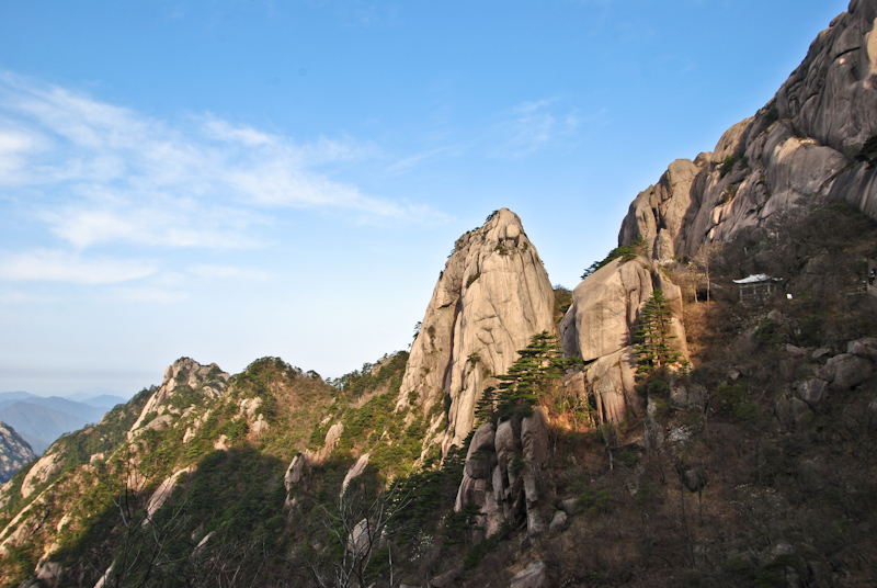 DSC_0509.jpg