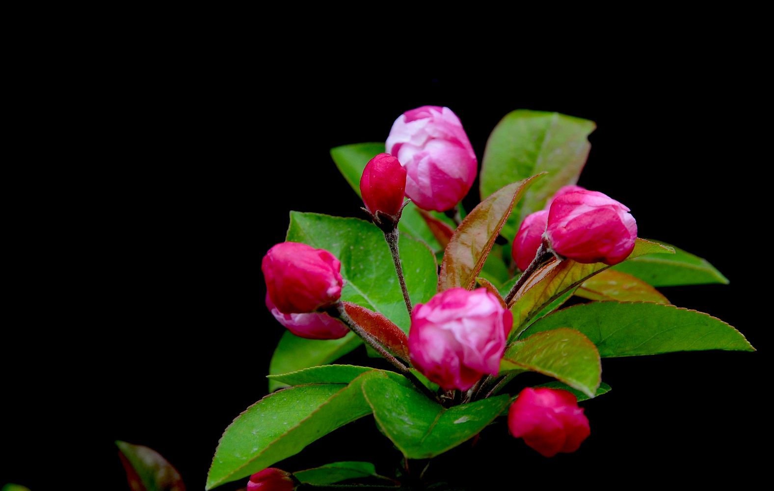 DSC_1137.jpg