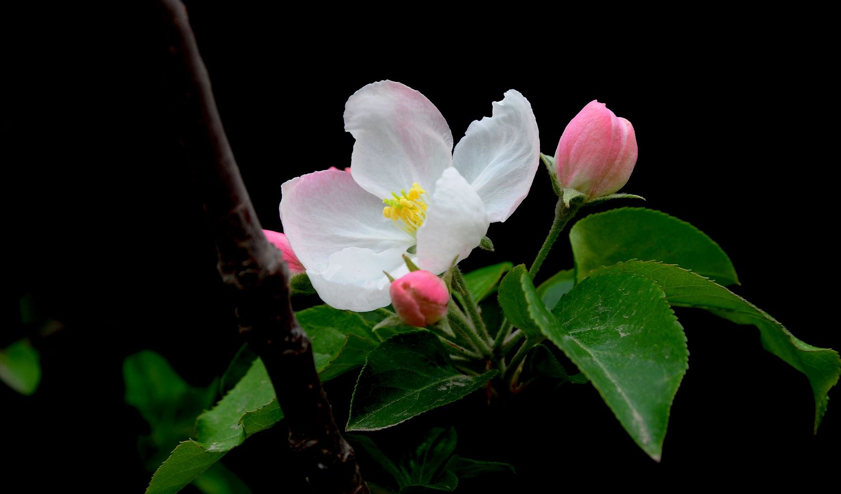 DSC_1143.jpg