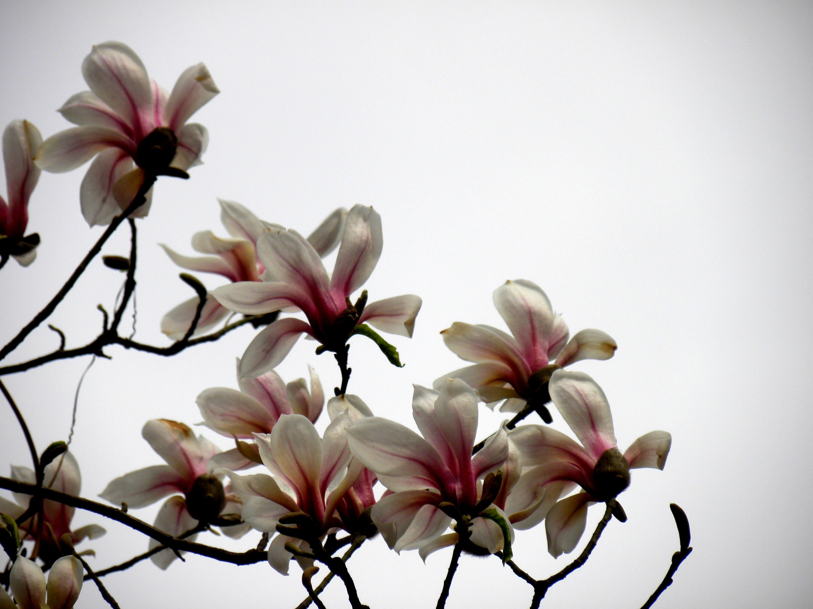 DSCN0097__.jpg