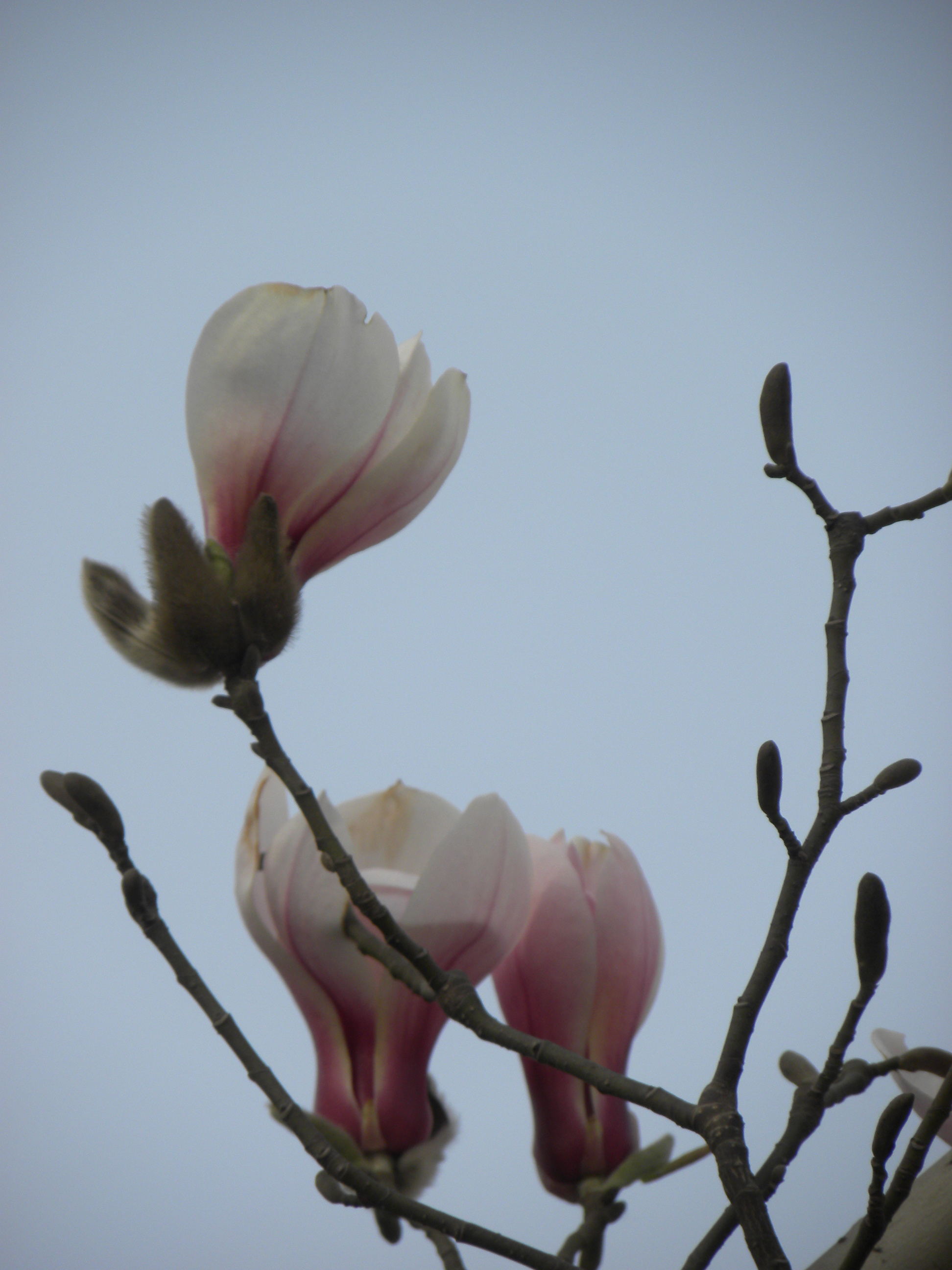 DSCN0084_ת.JPG