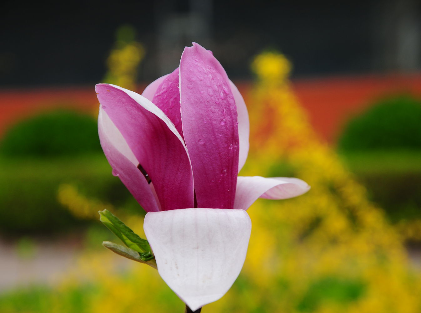 DSC_5535_3.jpg