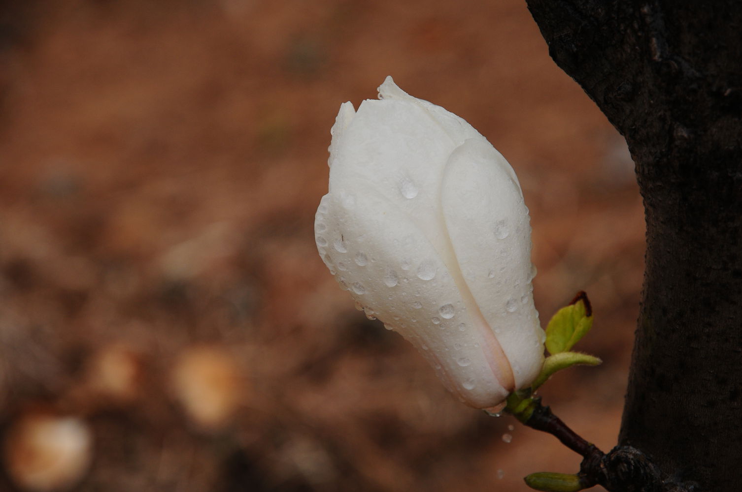 DSC_5544_3.jpg