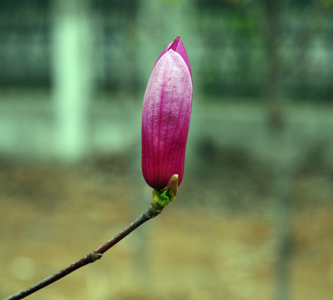 DSC_5551_2.jpg