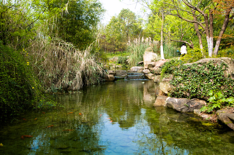 DSC_0467.jpg