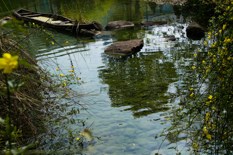 DSC_0473.jpg