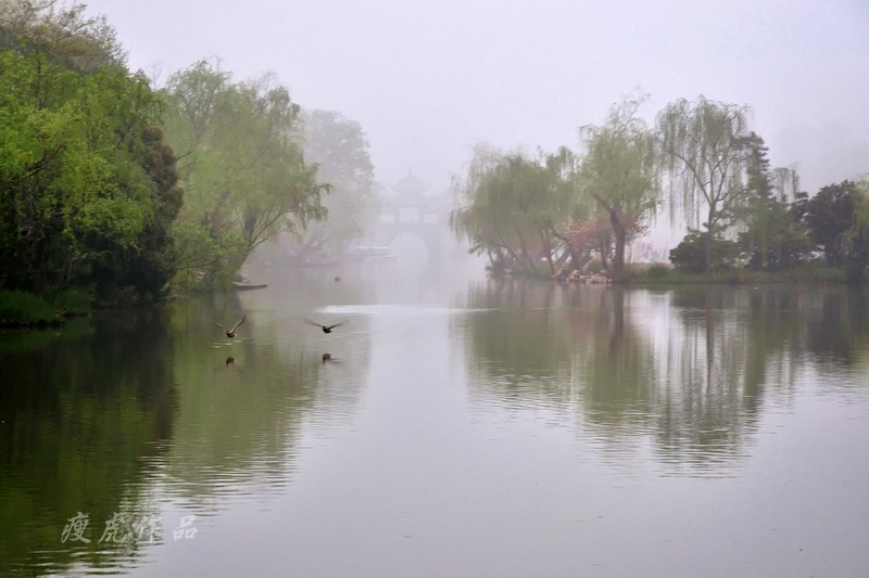 DSC_3481-nx-xc1.jpg