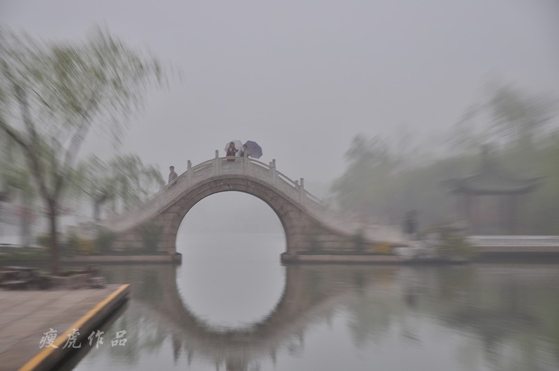 DSC_3485-h-xc1.jpg