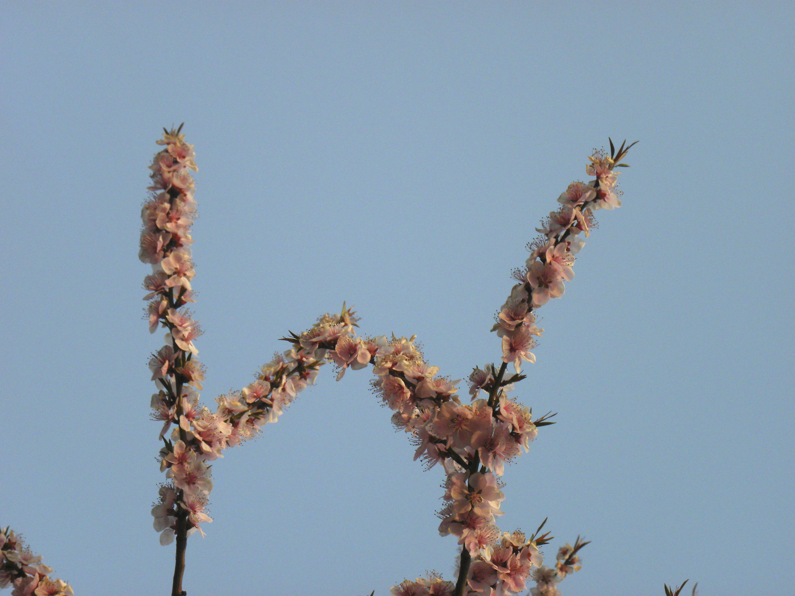 DSCN0075_.jpg