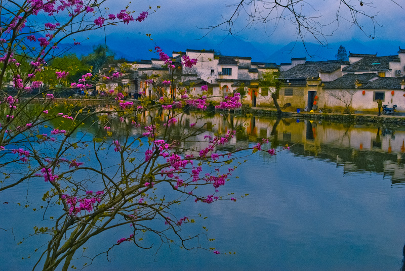 DSC_0890.jpg