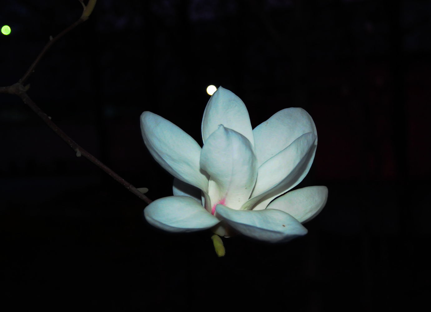 DSC_5418_3.jpg