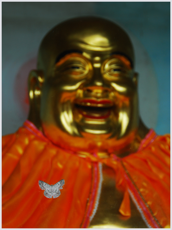 .JPG