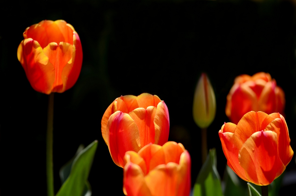 _DSC8388(ޣ1.jpg
