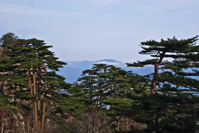 DSC_0309.jpg