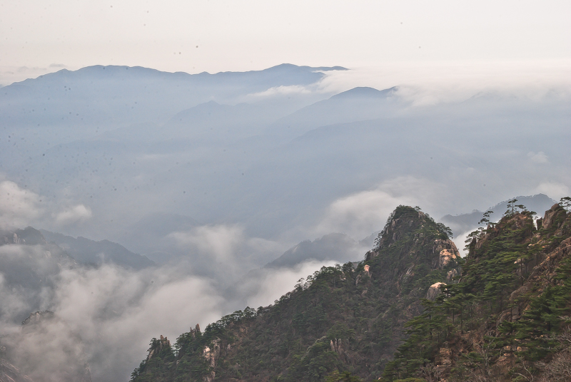 DSC_0239.jpg