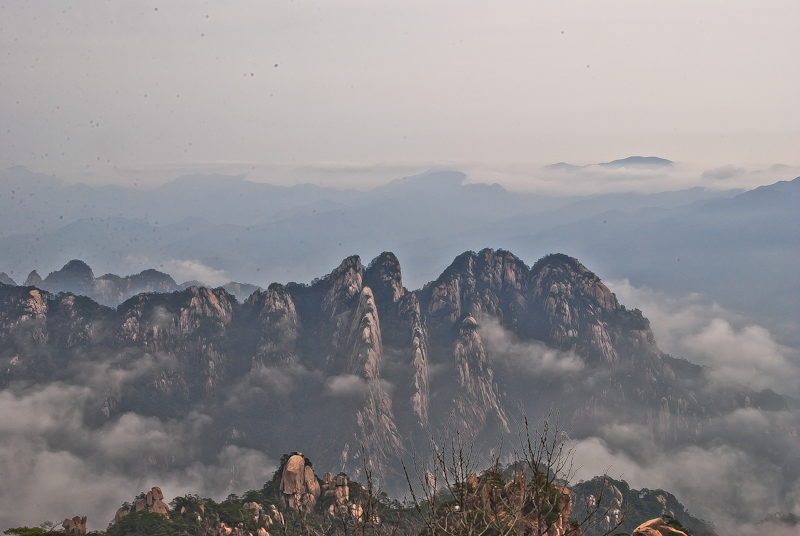 DSC_0240.jpg