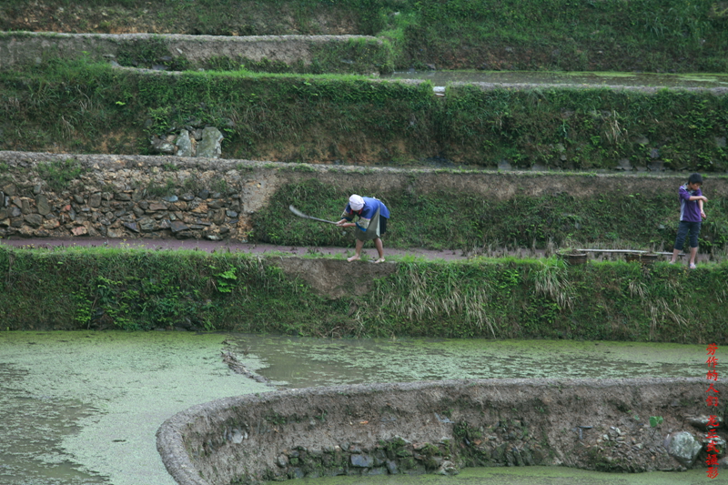 IMG_2756_.jpg