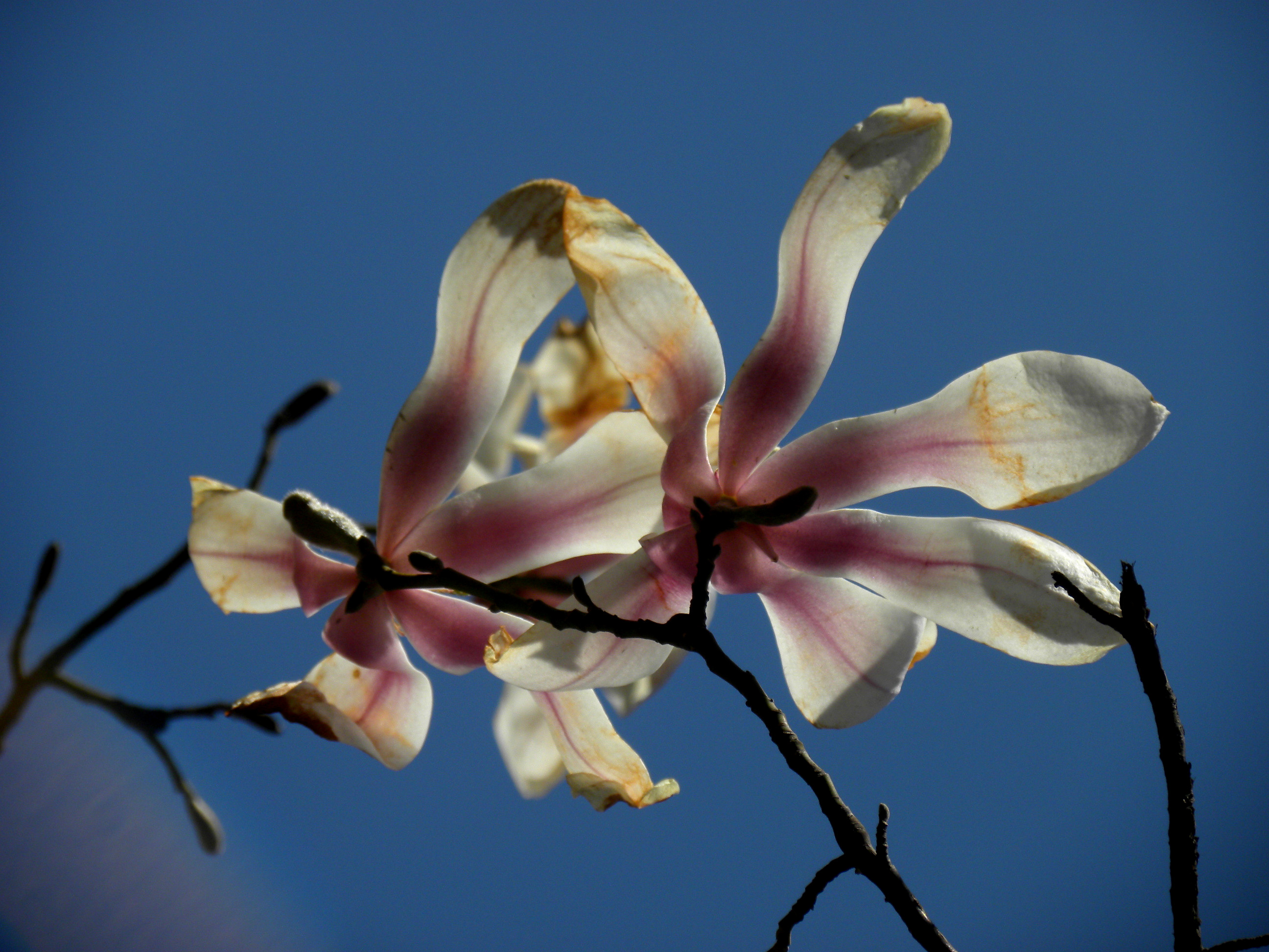 DSCN0162_.jpg
