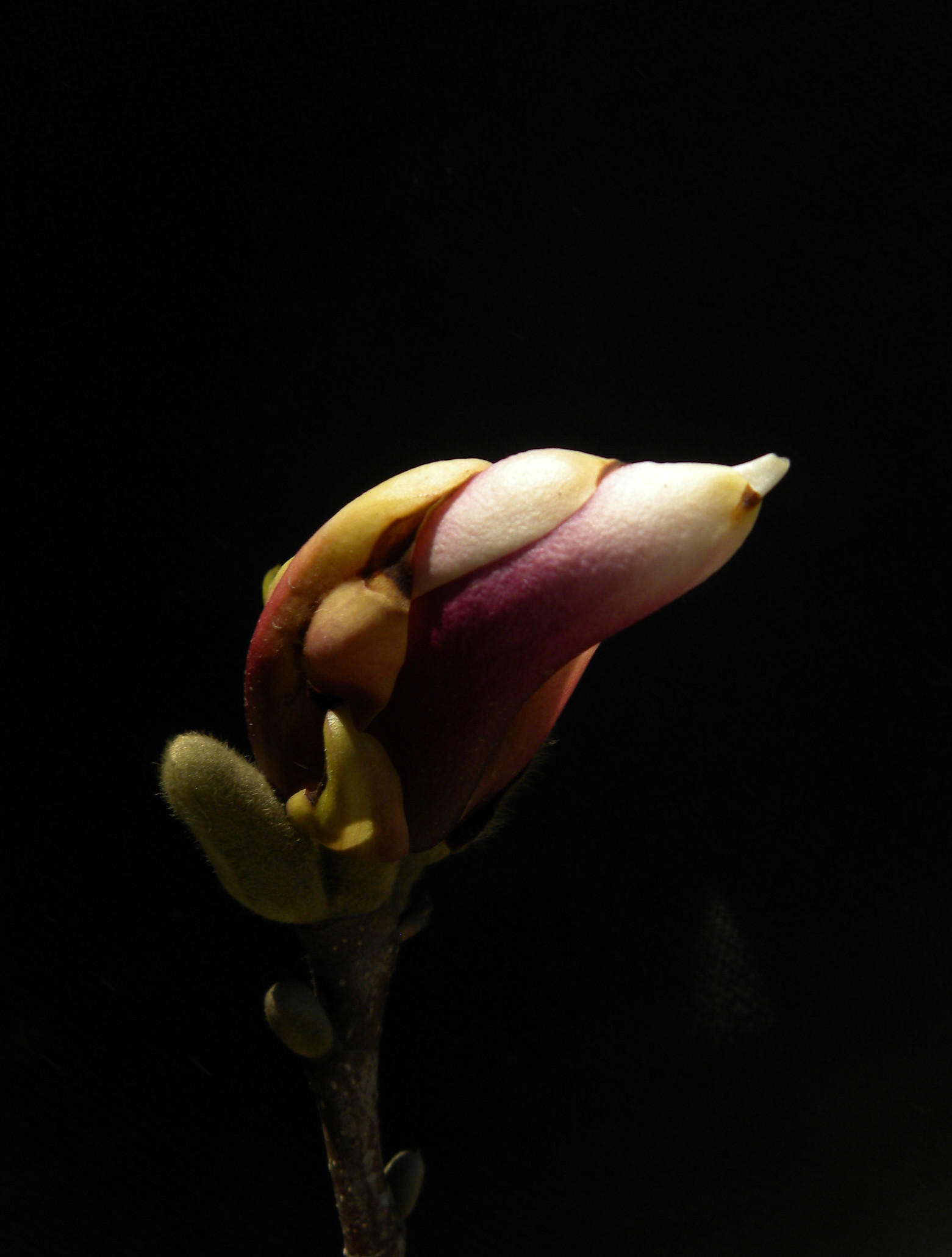 DSCN0307_.jpg