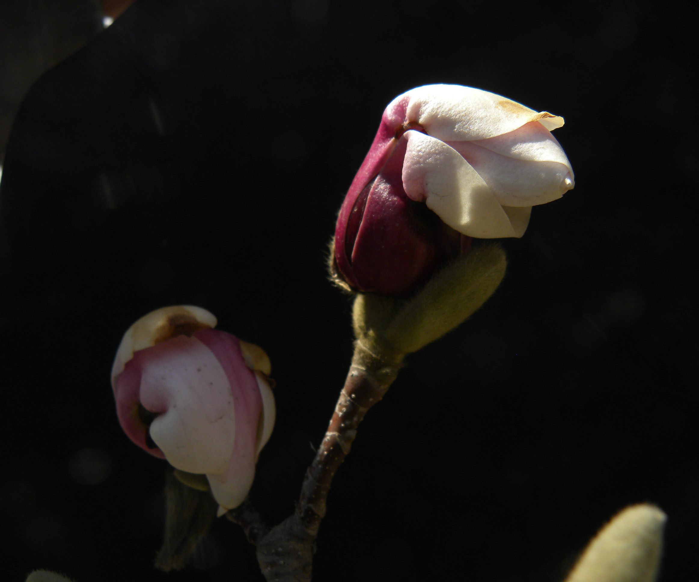 DSCN0308_.jpg
