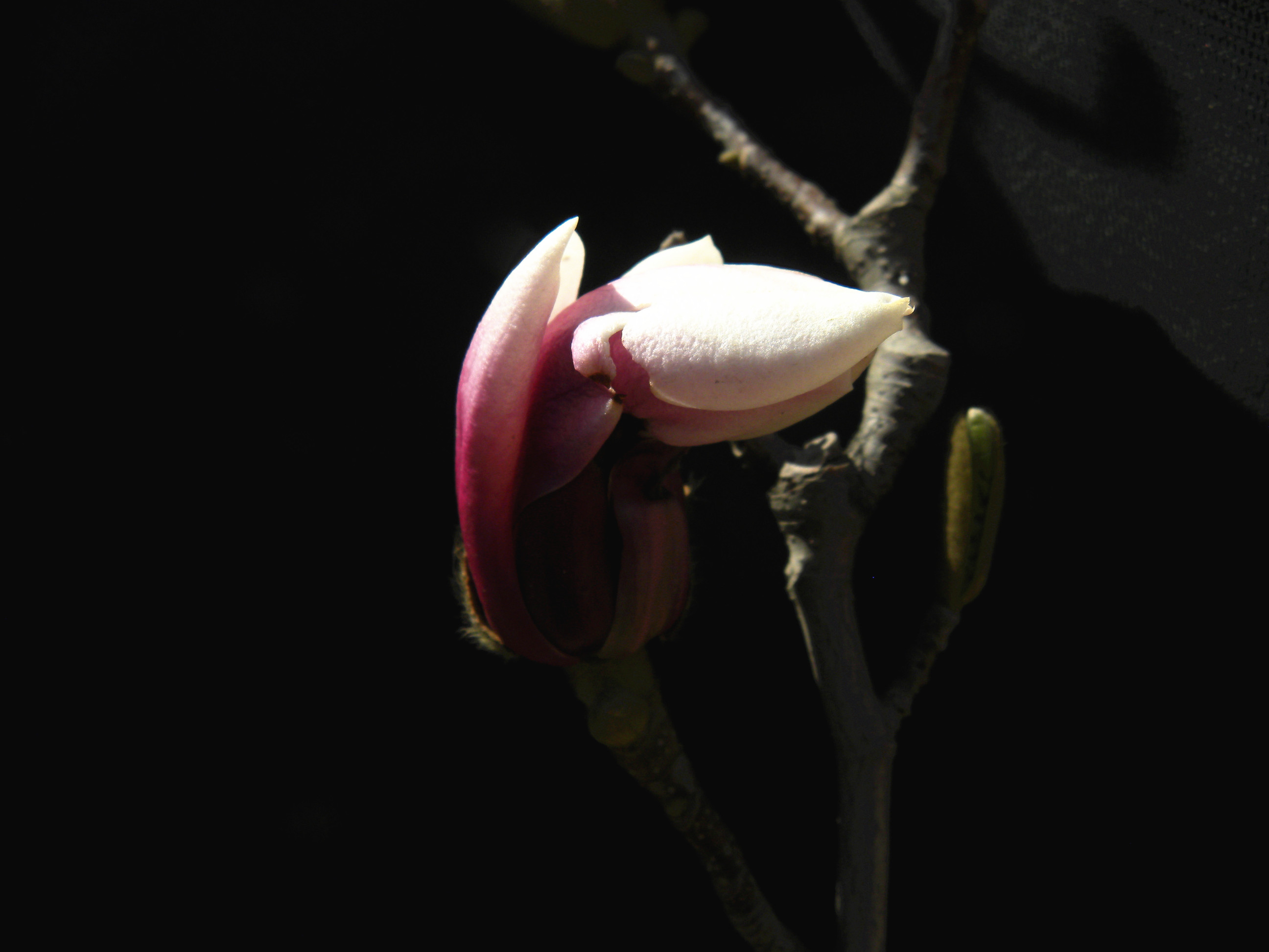 DSCN0310_.jpg
