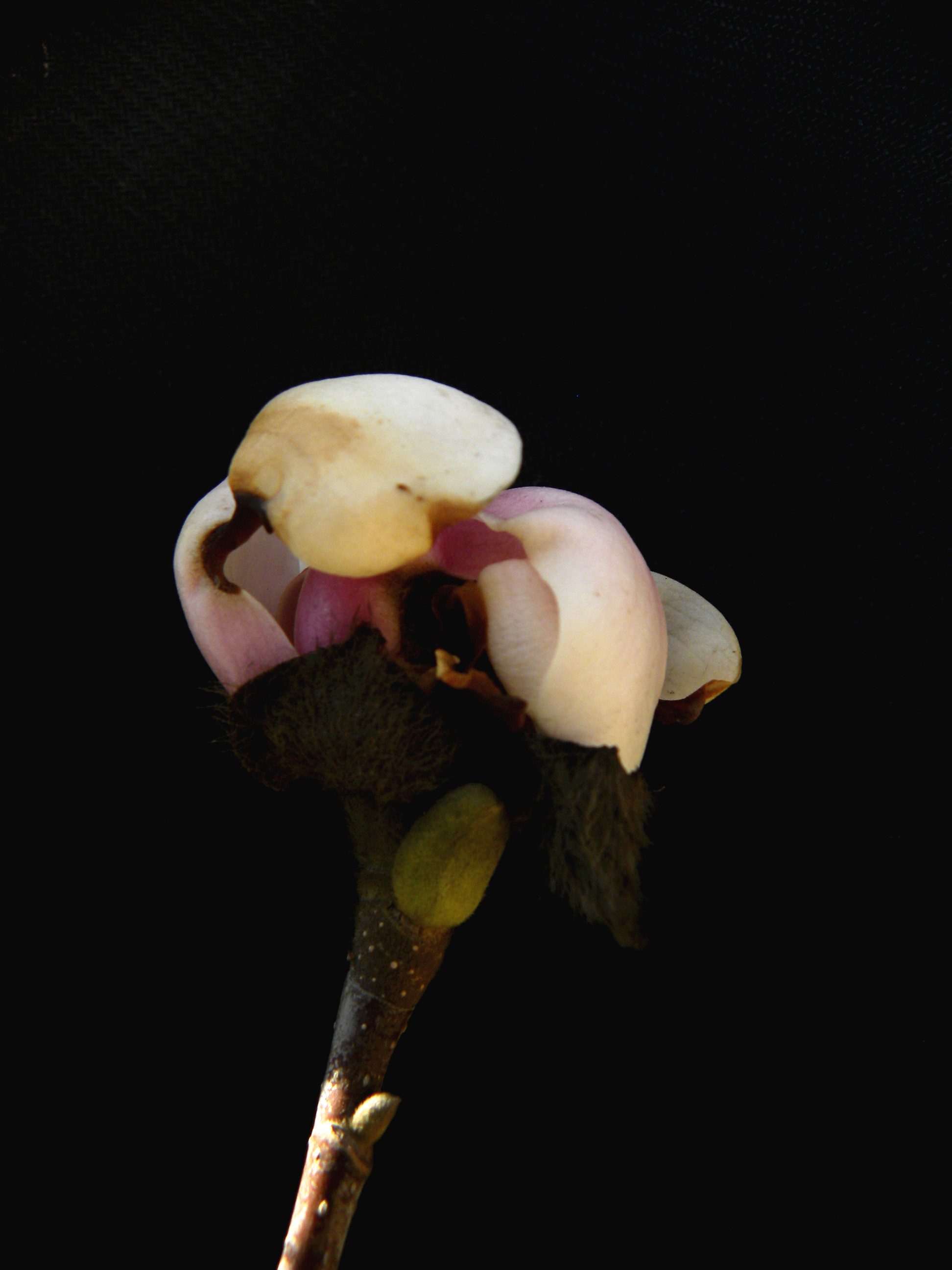 DSCN0311_.jpg