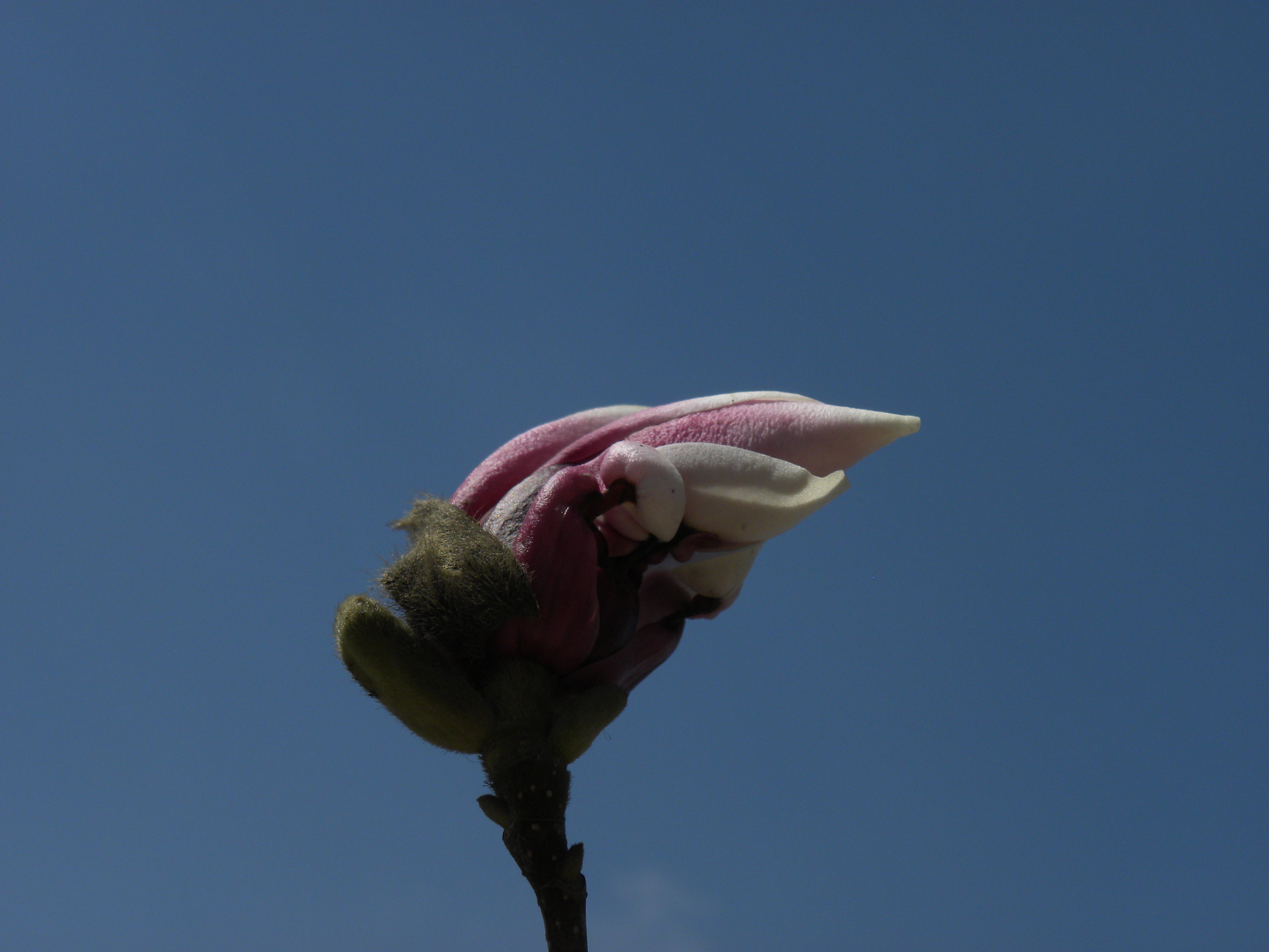 DSCN0317_.jpg
