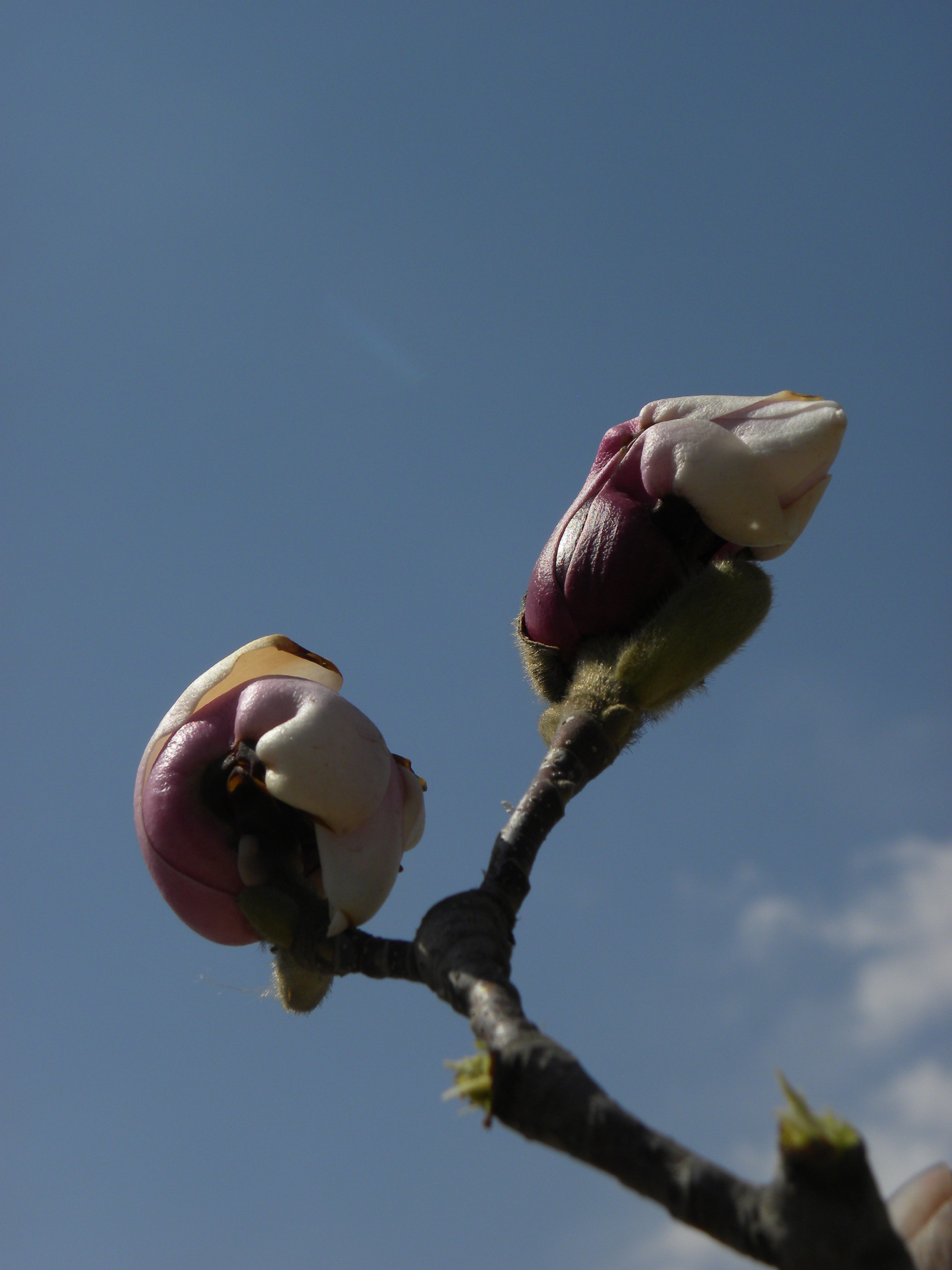DSCN0322_.jpg