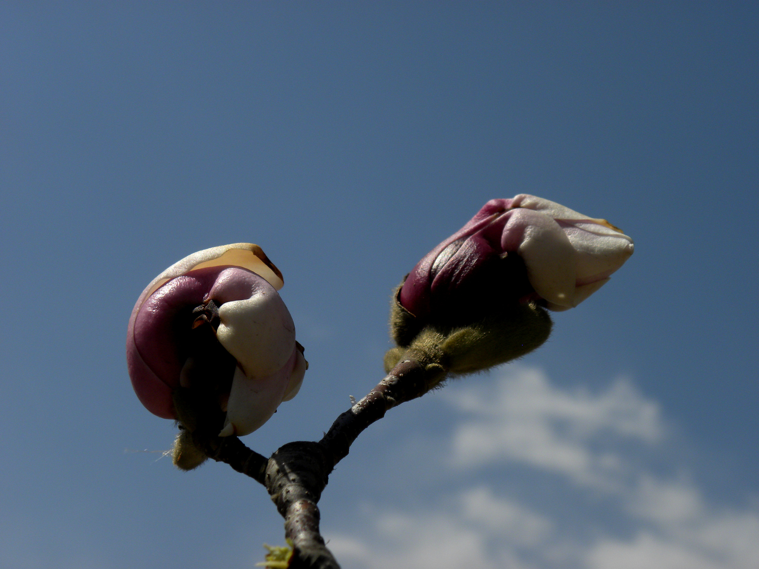 DSCN0323_.jpg
