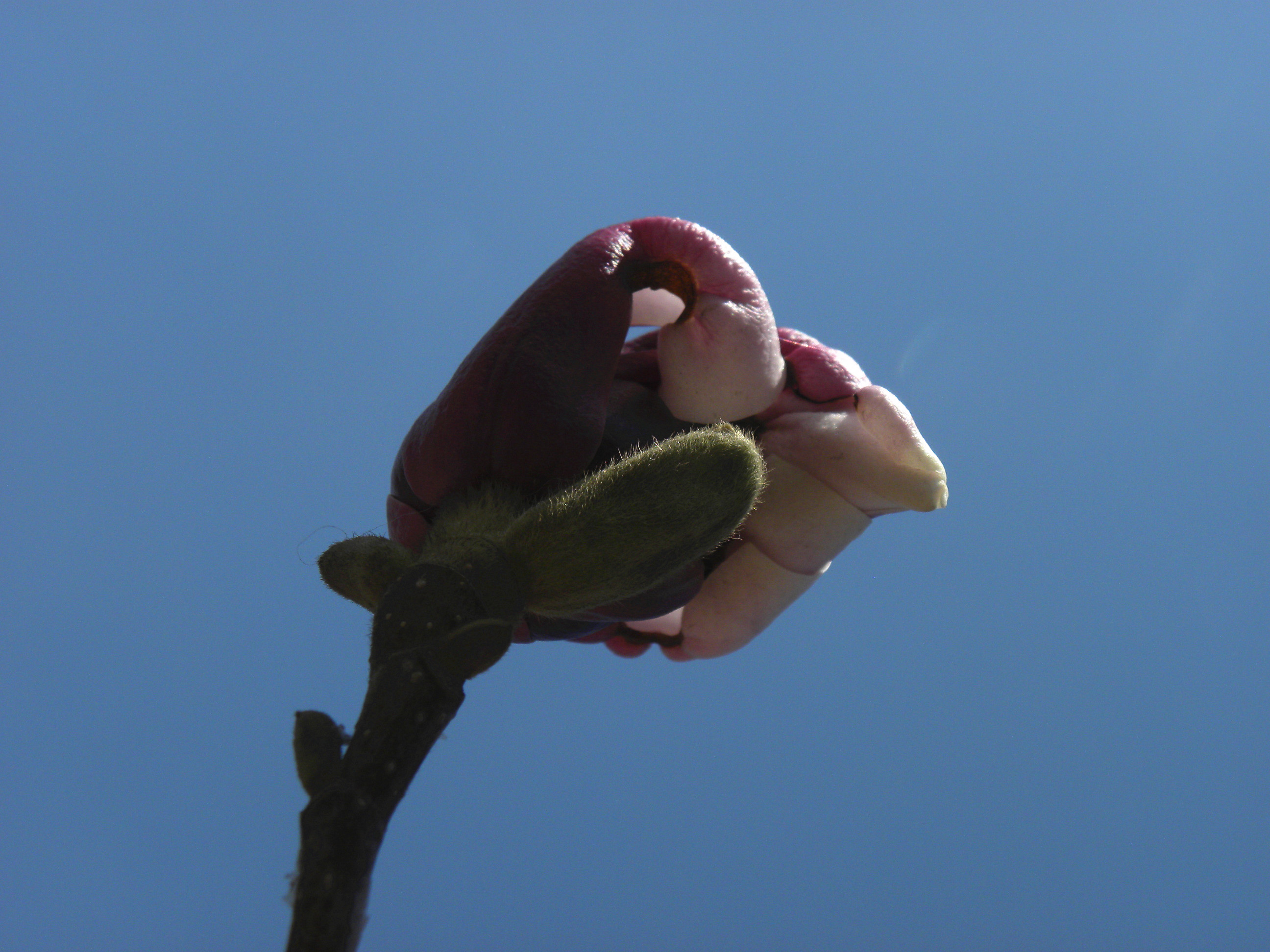 DSCN0328_.jpg