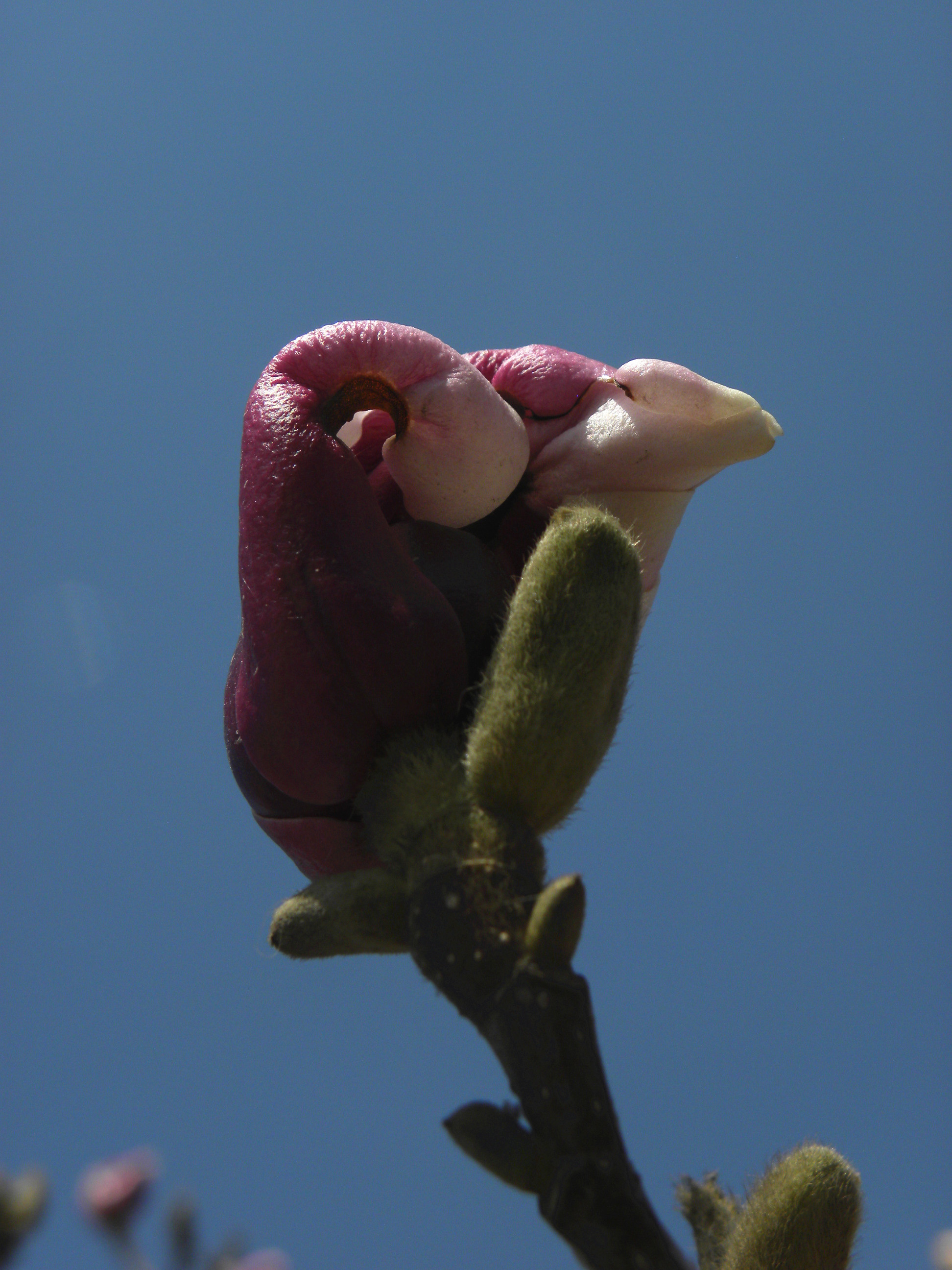 DSCN0329_.jpg