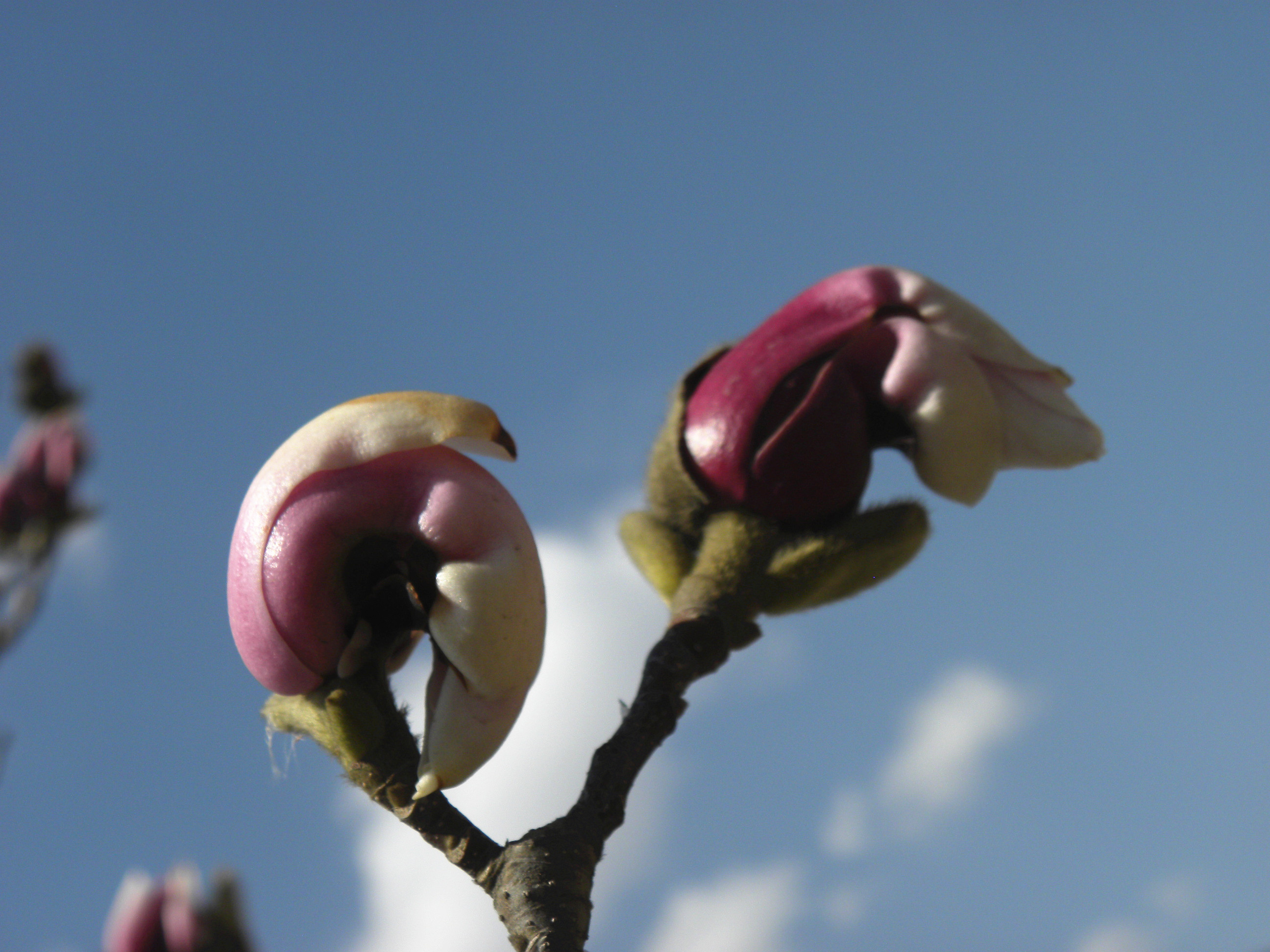 DSCN0330_.jpg