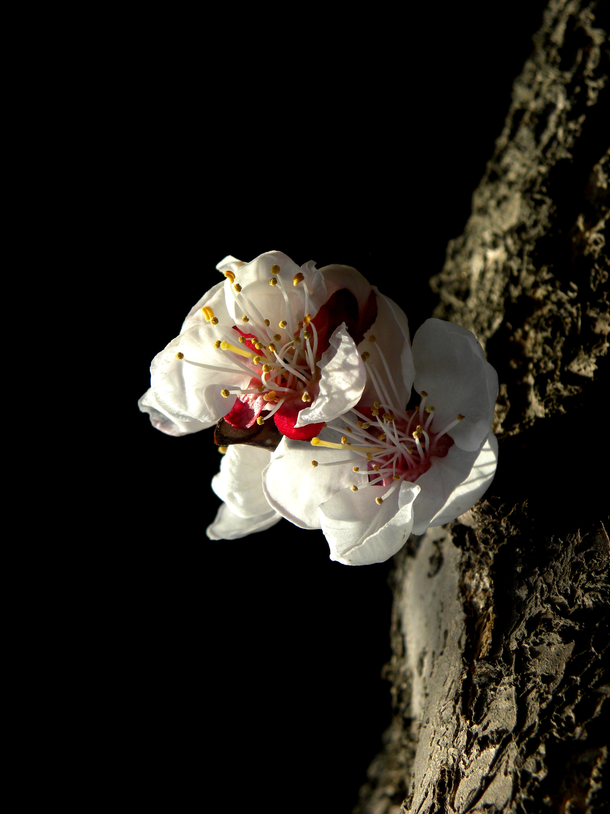 DSCN0452_.jpg