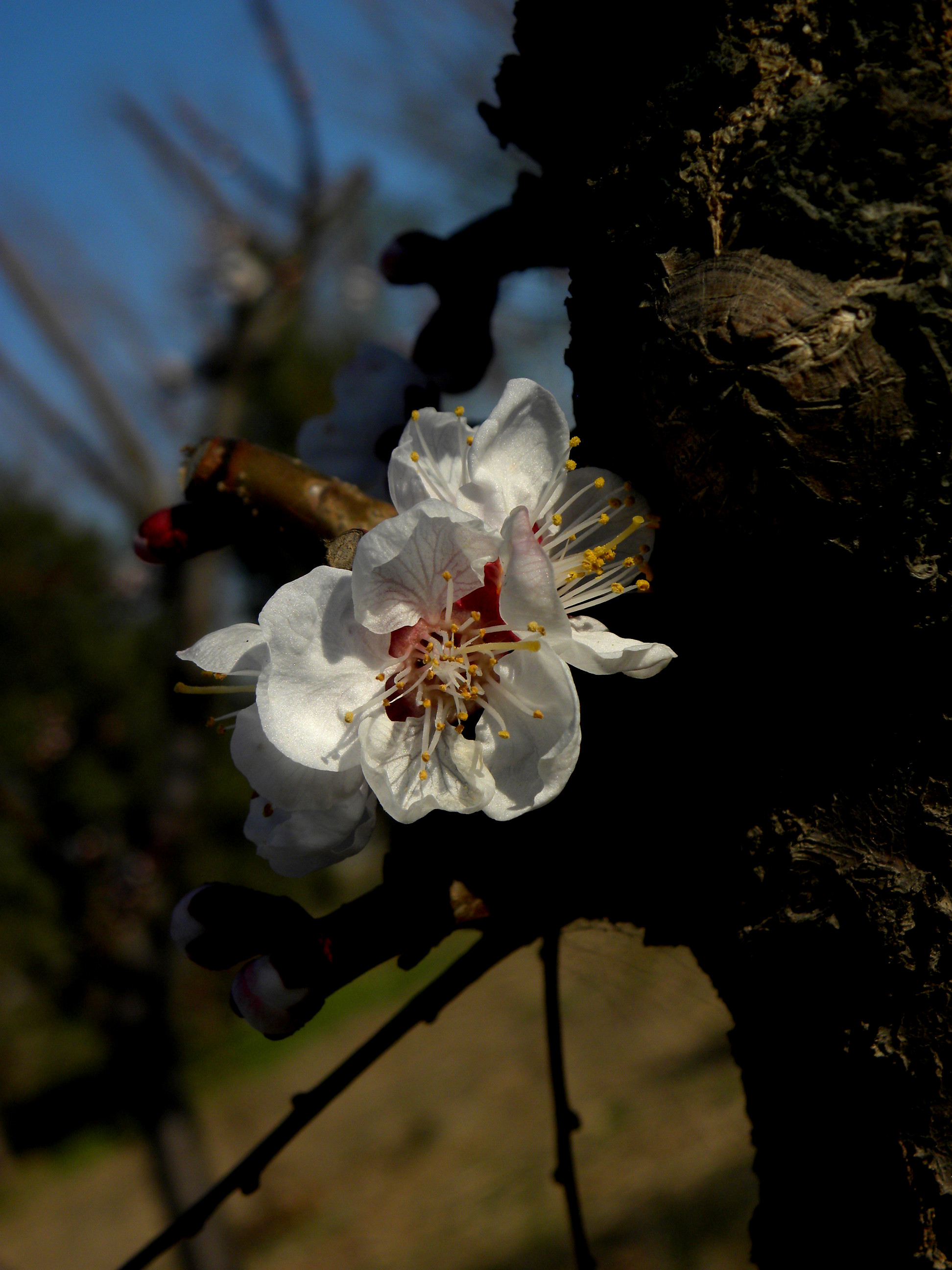 DSCN0462_.jpg