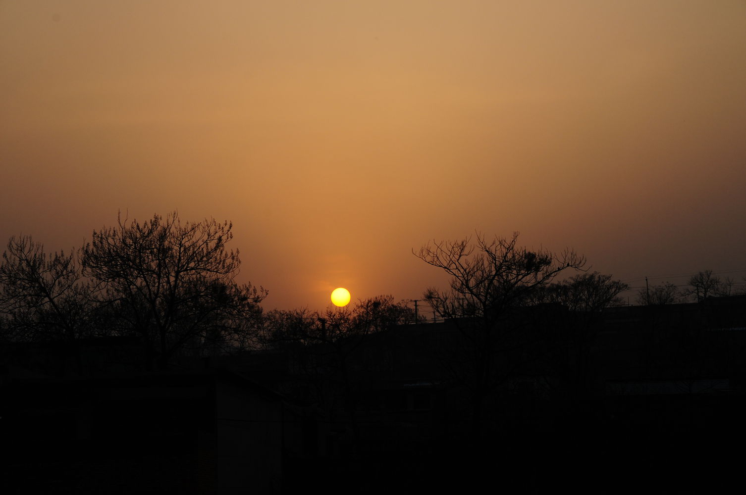 DSC_5848_2.jpg