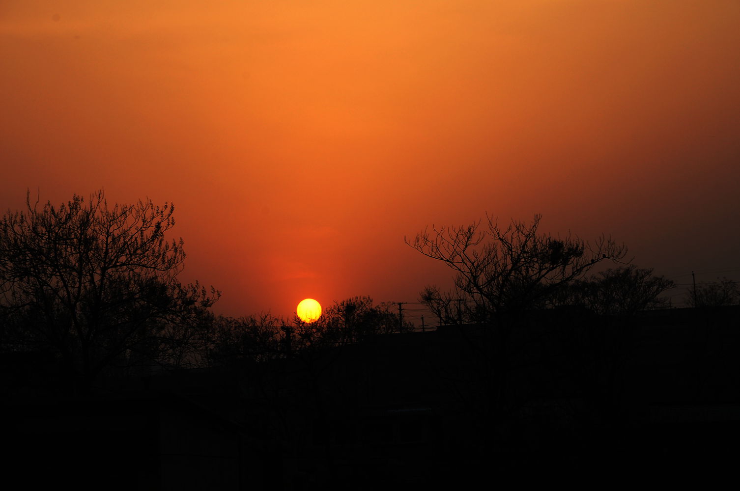 DSC_5852_3.jpg