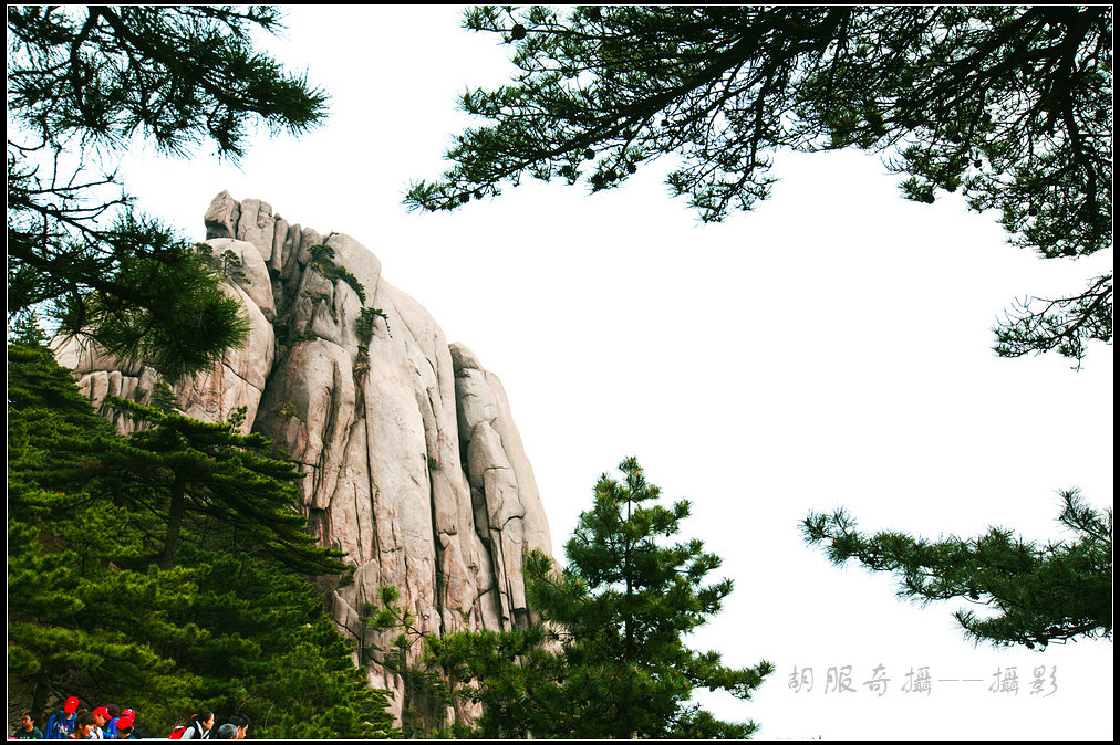 _MG_8959.jpg