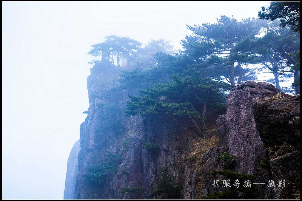 _MG_9087.jpg